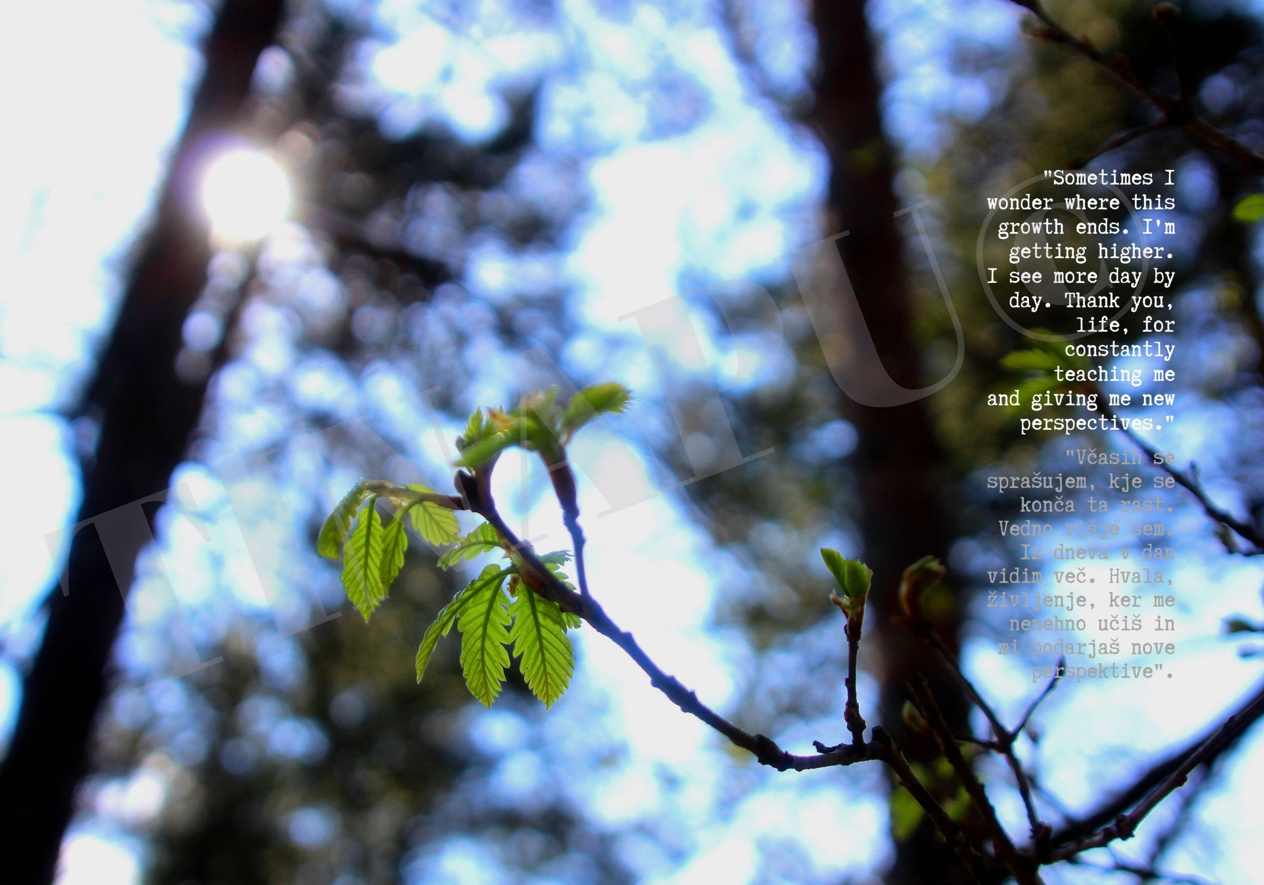 RAZSTAVA #4-prava-watermark